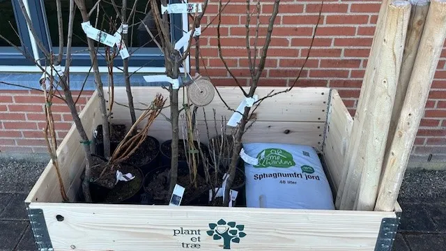Plant et Træ